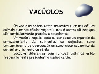 VACÚOLOS
Os vacúolos podem estar presentes quer nas células
animais quer nas células vegetais, mas é nestas ultimas que
são particularmente grandes e abundantes.
Um vacúolo vegetal pode actuar como um organelo de
armazenamento de nutrientes ou dejectos, como
compartimento de degradação ou como modo económico de
aumentar o tamanho da célula.
Vacúolos diferentes com funções distintas estão
frequentemente presentes na mesma célula.
 