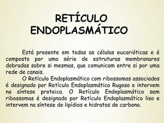 RETÍCULO
ENDOPLASMÁTICO
Está presente em todas as células eucarióticas e é
composto por uma série de estruturas membranares
dobradas sobre si mesmas, que comunicam entre si por uma
rede de canais.
O Retículo Endoplasmático com ribossomas associados
é designado por Retículo Endoplasmático Rugoso e intervem
na síntese proteica. O Retículo Endoplasmático sem
ribossomas é designado por Retículo Endoplasmático liso e
intervem na síntese de lipídios e hidratos de carbono.
 