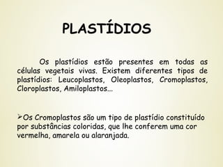 PLASTÍDIOS
Os plastídios estão presentes em todas as
células vegetais vivas. Existem diferentes tipos de
plastídios: Leucoplastos, Oleoplastos, Cromoplastos,
Cloroplastos, Amiloplastos...
Os Cromoplastos são um tipo de plastídio constituído
por substâncias coloridas, que lhe conferem uma cor
vermelha, amarela ou alaranjada.
 