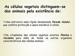 As células vegetais distinguem-se
das animais pela existência de:
Uma estrutura semi-rígida denominada Parede Celular,
que confere protecção e apoio mecânico à célula.
No citoplasma das células vegetais existem Plastos e
Vacúolos para além de todos os outros organelos
característicos das células animais.
 