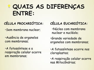 QUAIS AS DIFERENÇAS
ENTRE:
•A fotossíntese e a
respiração celular ocorre
em membranas;
•A fotossíntese ocorre nos
cloroplastos;
•A respiração celular ocorre
nas Mitocôndrias;
CÉLULA PROCARIÓTICA: CÉLULA EUCARIÓTICA:
•Sem membrana nuclear;
•Ausência de organelos
com membranas;
•Núcleo com membrana
nuclear e nucléolo;
•Grande variedade de
organelos com membranas;
 