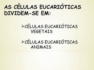AS CÉLULAS EUCARIÓTICAS
DIVIDEM-SE EM:
CÉLULAS EUCARIÓTICAS
VEGETAIS
CÉLULAS EUCARIÓTICAS
ANIMAIS
 