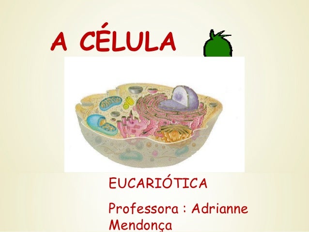 celula eucariotica