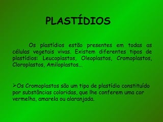 PLASTÍDIOS  Os plastídios estão presentes em todas as células vegetais vivas. Existem diferentes tipos de plastídios: Leucoplastos, Oleoplastos, Cromoplastos, Cloroplastos, Amiloplastos... Os Cromoplastos são um tipo de plastídio constituído por substâncias coloridas, que lhe conferem uma cor vermelha, amarela ou alaranjada. 