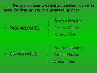 De acordo com a estrutura celular, os seres vivos dividem-se em dois grandes grupos: PROCARIONTES   EUCARIONTES   Proto = Primitivo Cario = Núcleo Ontos = Ser Eu = Verdadeiro Cario = Núcleo Ontos = Ser 