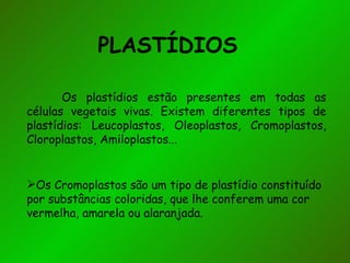 PLASTÍDIOS

       Os plastídios estão presentes em todas as
células vegetais vivas. Existem diferentes tipos de
plastídios: Leucoplastos, Oleoplastos, Cromoplastos,
Cloroplastos, Amiloplastos...


Os Cromoplastos são um tipo de plastídio constituído
por substâncias coloridas, que lhe conferem uma cor
vermelha, amarela ou alaranjada.
 