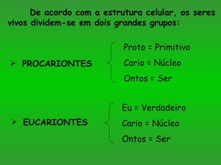 De acordo com a estrutura celular, os seres
vivos dividem-se em dois grandes grupos:

                           Proto = Primitivo
 PROCARIONTES             Cario = Núcleo
                           Ontos = Ser


                          Eu = Verdadeiro
 EUCARIONTES             Cario = Núcleo
                          Ontos = Ser
 