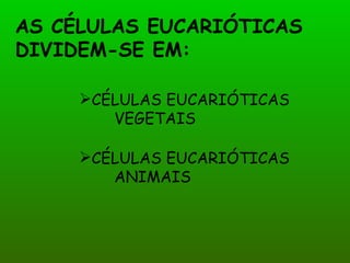 AS CÉLULAS EUCARIÓTICAS
DIVIDEM-SE EM:

     CÉLULAS EUCARIÓTICAS
        VEGETAIS

     CÉLULAS EUCARIÓTICAS
        ANIMAIS
 