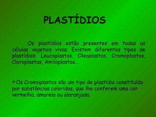 PLASTÍDIOS
Os plastídios estão presentes em todas as
células vegetais vivas. Existem diferentes tipos de
plastídios: Leucoplastos, Oleoplastos, Cromoplastos,
Cloroplastos, Amiloplastos...
Os Cromoplastos são um tipo de plastídio constituído
por substâncias coloridas, que lhe conferem uma cor
vermelha, amarela ou alaranjada.
 