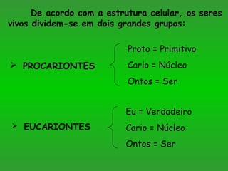 De acordo com a estrutura celular, os seres
vivos dividem-se em dois grandes grupos:
 PROCARIONTES
 EUCARIONTES
Proto = Primitivo
Cario = Núcleo
Ontos = Ser
Eu = Verdadeiro
Cario = Núcleo
Ontos = Ser
 