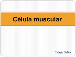 Célula muscular
Colegio Online
 