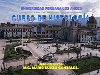 UNIVERSIDAD PERUANA LOS ANDES CURSO DE HISTOLOGÍA Jefe de Curso M.G. MARIO SUAZO GONZALES. FACULTAD DE MEDICINA HUMANA 