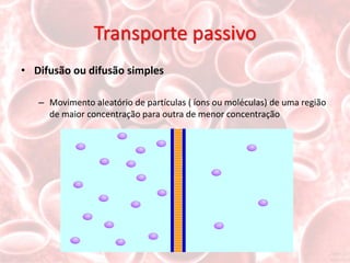 Transporte passivo
• Difusão ou difusão simples

   – Movimento aleatório de partículas ( íons ou moléculas) de uma região
     de maior concentração para outra de menor concentração
 