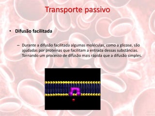 Transporte passivo

• Difusão facilitada

   – Durante a difusão facilitada algumas moléculas, como a glicose, são
     ajudadas por proteínas que facilitam a entrada dessas substâncias.
     Tornando um processo de difusão mais rápida que a difusão simples.
 