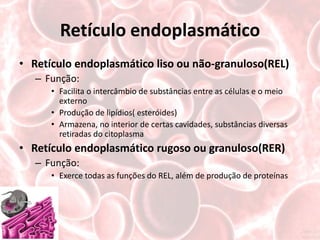 Retículo endoplasmático
• Retículo endoplasmático liso ou não-granuloso(REL)
   – Função:
      • Facilita o intercâmbio de substâncias entre as células e o meio
        externo
      • Produção de lipídios( esteróides)
      • Armazena, no interior de certas cavidades, substâncias diversas
        retiradas do citoplasma
• Retículo endoplasmático rugoso ou granuloso(RER)
   – Função:
      • Exerce todas as funções do REL, além de produção de proteínas
 