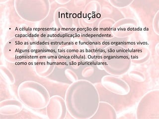Introdução
• A célula representa a menor porção de matéria viva dotada da
  capacidade de autoduplicação independente.
• São as unidades estruturais e funcionais dos organismos vivos.
• Alguns organismos, tais como as bactérias, são unicelulares
  (consistem em uma única célula). Outros organismos, tais
  como os seres humanos, são pluricelulares.
 