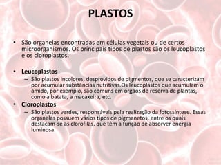 PLASTOS

• São organelas encontradas em células vegetais ou de certos
  microorganismos. Os principais tipos de plastos são os leucoplastos
  e os cloroplastos.

• Leucoplastos
   – São plastos incolores, desprovidos de pigmentos, que se caracterizam
     por acumular substâncias nutritivas.Os leucoplastos que acumulam o
     amido, por exemplo, são comuns em órgãos de reserva de plantas,
     como a batata, a macaxeira, etc.
• Cloroplastos
   – São plastos verdes, responsáveis pela realização da fotossíntese. Essas
     organelas possuem vários tipos de pigmanetos, entre os quais
     destacam-se as clorofilas, que têm a função de absorver energia
     luminosa.
 