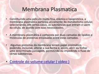 Membrana Plasmatica
• Constituindo uma película muito fina, elástica e lipoprotéica, a
  membrana plasmática participa ativamente do metabolismo celular,
  selecionando, em certos casos, as substâncias que entram e saem
  da célula, de acordo com suas necessidades.

• A membrana plasmática é composta por duas camadas de lipídios e
  moléculas de proteínas encaixadas entre estas camadas.

•    Algumas proteínas da membrana teriam papel enzimático,
    podendo, inclusive, alterar a sua forma e, assim, abrir ou fechar
    uma determinada passagem, permitindo ou impedindo o fluxo de
    certas substâncias.

• Controle do volume celular ( vídeo )
 