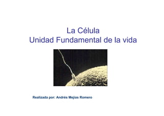 La Célula
Unidad Fundamental de la vida




Realizada por: Andrés Mejías Romero
 
