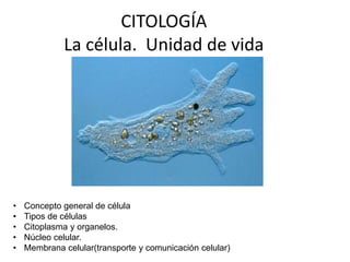 CITOLOGÍA
La célula. Unidad de vida
• Concepto general de célula
• Tipos de células
• Citoplasma y organelos.
• Núcleo celular.
• Membrana celular(transporte y comunicación celular)
 