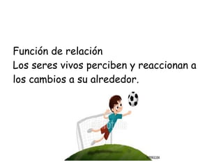 Función de relación
Los seres vivos perciben y reaccionan a
los cambios a su alrededor.
 