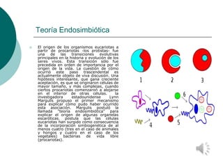 Teoría Endosimbiótica
 El origen de los organismos eucariotas a
partir de procariotas -los protistas- fue
una de las tran...