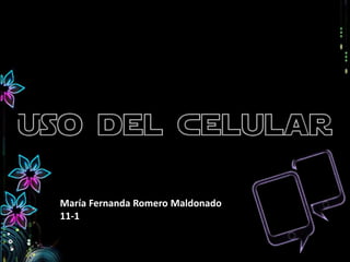 María Fernanda Romero Maldonado
11-1
 