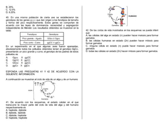B. 25%
C. 12.5%
D. 6.25%
40. En una misma población de cierta ave se establecieron los
genotipos de los genes g y c que dan origen a los fenotipos de tamaño
y forma del pico respectivamente. Estos genes se comportan de
acuerdo con las leyes de dominancia- recesividad y segregación
independiente de Mendel. Los resultados obtenidos se muestran en la
tabla:
En un experimento en el que algunas aves fueron apareadas,
absolutamente todos los polluelos obtenidos tenían el genotipo GgCc,
presentando un pico grande y curvo, el genotipo de los padres de estos
polluelos es
ESPONDA LAS PREGUNTAS 41 Y 42 DE ACUERDO CON LA
SIGUIENTE INFORMACIÓN
A continuación se muestran el ciclo de vida de un alga y de un humano
41. De acuerdo con los esquemas, el estado celular en el que
transcurre la mayor parte del ciclo de vida del alga y del humano
respectivamente es
A. haploide, diploide
B. diploide, diploide
C. diploide, haploide
D. haploide, haploide
42. De los ciclos de vida mostrados en los esquemas se puede inferir
que
A. las células del alga en estado (n) pueden hacer meiosis para formar
gametos
B. las células humanas en estado (2n) pueden hacer mitosis para
formar gametos
C. ninguna célula en estado (n) puede hacer meiosis para formar
gametos
D. todas las células en estado (2n) hacen mitosis para formar gametos
 