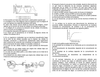 8. De acuerdo con toda esta información, usted podría suponer que
A. el antígeno A es más peligroso para el organismo que el antígeno B
y por eso genera una segunda respuesta más fuerte
B. entre más tiempo ocurra desde la inyección del antígeno, mayor
debería ser el número de clones de células inmunitarias producidas
C. el anfígeno B no provoca la clonación de las células inmunitarias,
como si ocurrió con el antígeno A
D. la segunda respuesta del organismo al antígeno
A es mayor por la persistencia en el tiempo de algunos clones de
células inmunitarias anti A
9. En un organismo multicelular que se reproduce sexualmente; luego
de la unión de las células sexuales que lo originan; las células no
sexuales comienzan a reproducirse rápidamente hasta organizarse
para conformar los sistemas que constituyen al organismo. El proceso
para la formación de estas células no sexuales consiste en
A. la unión de dos células madres con igual cantidad de información
genética
B. la división de una célula madre que origina dos células hijas con
igual cantidad de información genética
C. la unión de una célula padre y una célula madre con la mitad de la
información genética
D. la división de una célula madre que origina dos células hijas con la
mitad de la información genética
10.
El esquema ilustra la secuencia más probable, desde la información de
un gen hasta la utilización de las enzimas (proteínas) digestivas
producidas por la célula. Si el fósforo (P) que hace parte de las
moléculas de ADN se marca con una sustancia radiactiva, más tarde
se detectaría radiactividad en
A. solo en el ADN, porque ninguna parte de él pasa al citoplasma
B. el ADN y el ARN, porque el ARN se forma de partes del ADN
C. en las proteínas, ya que los genes contenidos en el ADN contienen
la información para la síntesis de proteínas
D. en los lisosomas, ya que por acción de las enzimas el fósforo es
liberado
11. La amilasa es la enzima que descompone los almidones en
azucares dobles (disacáridos). Durante un experimento se mantiene
constante la concentración de amilasa y se va aumentando la
concentración de almidón, obteniendo las siguiente gráfica.
A partir de la gráfica puede deducirse que
A. la actividad de la amilasa no es favorecida por la concentración de
almidón
B. la concentración de disacáridos depende de la concentración de
almidón
C. la actividad de la amilasa depende de la concentración de
disacáridos
D. la concentración de disacáridos es independiente de la
concentración de almidón
12. El marcaje radioactivo es un procedimiento utilizado para
monitorear el camino que sigue un elemento químico dentro de un
sistema biológico. Para evidenciar la fuente de oxígeno gaseoso
liberado en la fotosíntesis se realizó un experimento en el que se
colocaron algas unicelulares en cuatro cajas de petri que contenían
dióxido de carbono y glucosa disueltos en agua. En cada caja se marcó
radiactivamente el oxígeno de una o de las tres sustancias anteriores,
antes de ser colocadas las algas. La sustancia que fue marcada en
 