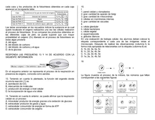 cada caso y los productos de la fotosíntesis obtenidos en cada caja
aparecen en la siguiente tabla:
Las letras encerradas en los recuadros indican la sustancia en la cual
quedó localizado el oxígeno radioactivo una vez las células realizaron
el proceso de fotosíntesis. Si se comparan los productos obtenidos en
las diferentes cajas de petri, se puede suponer que con mayor
probabilidad el oxígeno (O2) liberado en el proceso de fotosíntesis en
estas algas proviene
A. del agua
B. del dióxido de carbono
C. del dióxido de carbono y el agua
D. de la glucosa
RESPONDA LAS PREGUNTAS 13 Y 14 DE ACUERDO CON LA
SIGUIENTE INFORMACIÓN
En el esquema anterior se representa el proceso de la respiración en
presencia de oxígeno, conocida como aerobia.
13. Teniendo en cuenta lo planteado, la función del organelo donde
ocurre la reacción (1) es
A. asimilación de CO2
B. intercambio de moléculas
C. producción de energía a nivel celular
D. la incorporación de agua a la célula
14. Teniendo en cuenta lo anterior, se puede afirmar que la respiración
celular es un proceso
A. intracelular productor de energía gracias a la oxidación de glucosa
B. extracelular productor de gases y agua
C. extracelular consumidor de energía en forma de ATP
D. extracelular consumidor de oxígeno
15.
I
1. pared celular y cloroplastos
2. gran cantidad de aparato de Golgi
3. gran cantidad de mitocondrias
4. células sin membranas internas
5. gran cantidad de vacuolas
II
a. célula glandular
b. célula bacteriana
c. célula vegetal
d. espermatozoide
e. glóbulos blancos
En una evaluación de biología celular, los alumnos debían colocar la
etiqueta correspondiente a cada una de las imágenes vistas al
microscopio. Después de realizar las observaciones (columna I), la
forma más apropiada de relacionarlas con la etiqueta (columna II) es
A. 1b, 2d, 3e, 4a, 5c
B. 1c, 2d, 3a, 4b, 5e
C. 1c, 2a, 3d, 4b, 5e
D. 1a, 2e, 3c, 4b, 5d
16
La figura muestra el proceso de la mitosis, los números que faltan
corresponden a las siguientes figuras
 
