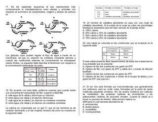 17. De los siguientes esquemas el que representaría más
correctamente la interdependencia entre plantas y animales con
respecto al suministro de carbohidratos, oxígeno y dióxido de carbono
es
Los glóbulos rojos pueden regular el flujo de agua a través de su
membrana, tal que su volumen se mantiene constante siempre y
cuando las condiciones externas de concentración no sobrepasen
ciertos límites. La siguiente tabla describe el fenómeno con respecto a
la concentración extracelular de sodio.
18. De acuerdo con esta tabla, podemos suponer que cuando existe
una concentración extracelular de Na+ superior a 900mM/L
A. sale agua de la célula y disminuye su volumen.
B. entra agua a la célula y el volumen disminuye.
C. sale agua de la célula y el volumen se mantiene constante.
D. entra agua a la célula y el volumen se mantiene constante.
La calvicie es ocasionada por un gen C' que en los hombres es de
carácter dominante y en las mujeres recesivo tal como se muestra en
la siguiente tabla:
19. Un hombre de cabellera abundante se casa con una mujer de
cabellera abundante. Si la madre de la mujer es calva, los porcentajes
fenotípicos esperados para los hijos varones de la pareja serían
A. 100% calvos.
B. 25% calvos y 75% de cabellera abundante.
C. 50% calvos y 50% de cabellera abundante.
D. 75% calvos y 25% de cabellera abundante.
20. Una célula es colocada en las condiciones que se muestran en la
siguiente tabla
Si esta célula presenta altos requerimientos de estas dos sustancias es
muy probable que se presente
A. ingreso de las dos sustancias con gasto de ATP
B. ingreso de Na+ con gasto de ATP y salida de I- a través de difusión
facilitada
C. ingreso de las dos sustancias sin gasto de ATP
D. ingreso de las dos sustancias a través de la bicapa de lípidos y con
gasto de ATP sólo para el I-
21. El ser vivo está formado por macromoléculas que generalmente
son polímeros, esto es, molé- culas, formadas por la unión de varias
moléculas pequeñas similares. Así, los ácidos nucleícos son cadenas
de nucleótidos, las proteínas cadenas de aminoácidos y los
polisacaridos cadenas de azúcares simples. Cuando la célula va a
iniciar su proceso de división, debe primero replicar su
ADN para lo cual necesita abundancia de
A. aminoácidos
B. ácidos grasos
C. nucleótidos
D. monosacáridos
 