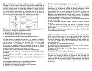 22. La existencia de moléculas solubles en lípidos y moléculas no
solubles en lípidos, genera dos modos importantes de transporte de
moléculas a través de la membrana lipídica que rodea la célula:
Difusión simple donde las moléculas atraviesan la capa lipídica y
Transporte mediado por proteínas insertas en la capa lipídica (canales
y transportadores). La cantidad de moléculas que en un lapso de
tiempo ingresan al interior de la célula depende de: el tipo de molécula
y la concentración de la molécula en el exterior como se ilustra:
El límite en la cantidad de moléculas no solubles en lípidos que entran
a la célula por segundo es una consecuencia de
A. el área de la membrana celular
B. el tamaño de las moléculas solubles en lípidos
C. la disponibilidad de las proteínas de transporte
D. la afinidad entre proteínas y moléculas solubles en lípidos
23. Una persona fue llevada de urgencias a un hospital; los médicos
encontraron que este paciente tenía una afección en la médula ósea
por lo tanto su producción de glóbulos rojos era muy baja.
Adicionalmente, las cantidades de azúcares y aminoácidos
encontrados en la sangre estaban por debajo de lo normal. Lo anterior
evidentemente comenzaba a afectar todas las células de su cuerpo
pero lo primero que pasaría a nivel celular sería que
A. la respiración celular y la síntesis de proteínas se detendrían.
B. las membranas celulares no permitirían el paso de agua, sales o
nutrientes
C. la producción de ARN mensajero y las transcripciones se
detendrían.
D. los ciclos de síntesis de lípidos y la digestión en los lisosomas se
detendrían.
24. Una característica común a la mitosis y la meiosis es
A. la cantidad de etapas en que se llevan a cabo
B. la duplicación y reducción del número de cromosomas
C. el tiempo en el cual se desarrollan
D. la formación de células a partir de una preexistente
25. En los mamíferos, los glóbulos rojos (un tipo de células
sanguíneas) se forman en la médula de algunos huesos y a medida
que estas células crecen y entran en la sangre pierden el núcleo.
En un experimento se extrae sangre de un mamífero, se aíslan sus
glóbulos rojos y éstos son colocados luego en las condiciones de
laboratorio necesarias para que puedan seguir viviendo y funcionando
adecuadamente. Si al cabo de un tiempo se examina la muestra del
laboratorio se esperaría que el número de glóbulos rojos
A. haya aumentado y las nuevas células carezcan de núcleo igual a las
que les dieron origen
B. haya aumentado pero las nuevas células no puedan sintetizar
proteínas
C. no haya aumentado puesto que aunque los glóbulos rojos se
dividan, las nuevas células producidas no serán iguales a las que les
dieron origen
D. no hayan aumentado ya que las células no pudieron dividirse y dar
origen a otras células nuevas
26. En experimentos con arvejas se descubrió que el color rojo de las
flores era dominante sobre el blanco y que las semillas lisas eran
dominantes sobre las rugosas. Los posibles fenotipos de los hijos que
se podrían obtener al cruzar una planta blanca de semillas rugosas con
una roja de semillas lisas que es heterocigota para estas dos
características, son
A. sólo plantas de flores rojas y semillas lisas
B. plantas de flores rojas semillas lisas, flores rojas semillas rugosas,
flores blancas lisas y blancas rugosas
C. plantas de flores rojas con semillas lisas y flores blancas con
semillas rugosas
D. plantas de flores blancas y semillas rugosas
27. Cuando aún no conocíamos muy bien el funcionamiento del
páncreas, se aislaron de algunas de sus células dos hormonas: La
insulina y el glucagón. Pronto se sospechó que ambas tenían algo que
ver con el nivel de glucosa en la sangre. Para determinar la acción de
cada hormona se montó un experimento cuyos resultados se muestran
en la gráfica
 