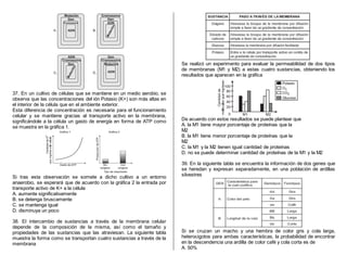 37. En un cultivo de células que se mantiene en un medio aerobio, se
observa que las concentraciones del ión Potasio (K+) son más altas en
el interior de la célula que en el ambiente exterior.
Esta diferencia de concentración es necesaria para el funcionamiento
celular y se mantiene gracias al transporte activo en la membrana,
significándole a la célula un gasto de energía en forma de ATP como
se muestra en la gráfica 1.
Si tras esta observación se somete a dicho cultivo a un entorno
anaerobio, se esperará que de acuerdo con la gráfica 2 la entrada por
transporte activo de K+ a la célula
A. aumente significativamente
B. se detenga bruscamente
C. se mantenga igual
D. disminuya un poco
38. El intercambio de sustancias a través de la membrana celular
depende de la composición de la misma, así como el tamaño y
propiedades de las sustancias que las atraviesan. La siguiente tabla
muestra la forma como se transportan cuatro sustancias a través de la
membrana
Se realizó un experimento para evaluar la permeabilidad de dos tipos
de membranas (M1 y M2) a estas cuatro sustancias, obteniendo los
resultados que aparecen en la gráfica
De acuerdo con estos resultados se puede plantear que
A. la M1 tiene mayor porcentaje de proteínas que la
M2
B. la M1 tiene menor porcentaje de proteínas que la
M2
C. la M1 y la M2 tienen igual cantidad de proteínas
D. no se puede determinar cantidad de proteínas de la M1 y la M2
39. En la siguiente tabla se encuentra la información de dos genes que
se heredan y expresan separadamente, en una población de ardillas
silvestres
Si se cruzan un macho y una hembra de color gris y cola larga,
heterocigotos para ambas características, la probabilidad de encontrar
en la descendencia una ardilla de color café y cola corta es de
A. 50%
 