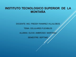 INSTITUTO TECNOLOGICO SUPERIOR DE LA 
MONTAÑA 
DOCENTE: ING. FREDDY RAMIREZ VILLALOBOS 
TEMA: CELULARES FLEXIBLES 
ALUMNA: OLIVIA AMBROSIO MARTINEZ 
SEMESTRE: SEPTIMO 
 