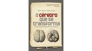 Proibição do uso de celulares nas escolas