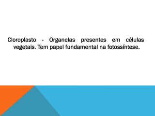 Cloroplasto - Organelas presentes em células
  vegetais. Tem papel fundamental na fotossíntese.
 