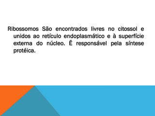 Ribossomos São encontrados livres no citossol e
  unidos ao retículo endoplasmático e à superfície
  externa do núcleo. Ë responsável pela síntese
  protéica.
 