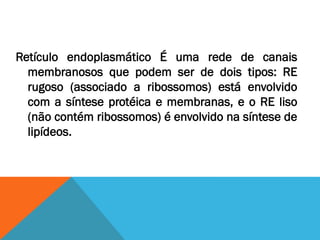 Retículo endoplasmático É uma rede de canais
  membranosos que podem ser de dois tipos: RE
  rugoso (associado a ribossomos) está envolvido
  com a síntese protéica e membranas, e o RE liso
  (não contém ribossomos) é envolvido na síntese de
  lipídeos.
 