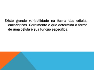 Existe grande variabilidade na forma das células
  eucarióticas. Geralmente o que determina a forma
  de uma célula é sua função específica.
 