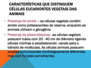 CARACTERÍSTICAS QUE DISTINGUEM
CÉLULAS EUCARIONTES VEGETAIS DAS
ANIMAIS
                    – as células vegetais contêm
amido como polissacarídeo de reserva, enquanto as
animais utilizam o glicogênio
                              as células vegetais
possuem tubos com 20 - 40 nm de diâmetro ligando
células vizinhas e estabelecendo canais para o
trânsito de moléculas. As células animais possuem
junções comunicantes morfologicamente diferentes,
mas com funções semelhantes.
 