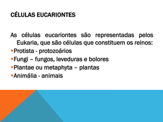 CÉLULAS EUCARIONTES


As células eucariontes são representadas pelos
  Eukaria, que são células que constituem os reinos:
Protista - protozoários
Fungi – fungos, leveduras e bolores
Plantae ou metaphyta – plantas
Animália - animais
 
