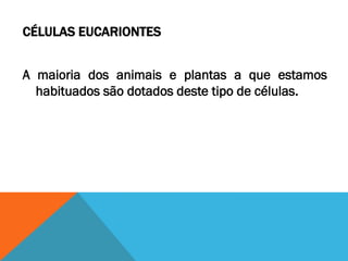 CÉLULAS EUCARIONTES


A maioria dos animais e plantas a que estamos
  habituados são dotados deste tipo de células.
 