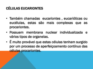 CÉLULAS EUCARIONTES

• Também chamadas eucariontes , eucarióticas ou
  eucélulas, estas são mais complexas que as
  procariontes.
• Possuem membrana nuclear individualizada e
  vários tipos de organelas.
• É muito provável que estas células tenham surgido
  por um processo de aperfeiçoamento contínuo das
  células procariontes.
 