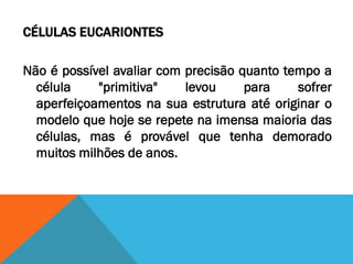 CÉLULAS EUCARIONTES

Não é possível avaliar com precisão quanto tempo a
  célula    "primitiva"    levou     para    sofrer
  aperfeiçoamentos na sua estrutura até originar o
  modelo que hoje se repete na imensa maioria das
  células, mas é provável que tenha demorado
  muitos milhões de anos.
 