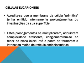 CÉLULAS EUCARIONTES

• Acredita-se que a membrana da célula "primitiva"
  tenha emitido internamente prolongamentos ou
  invaginações da sua superfície

• Estes proongamentos se multiplicaram, adquiriram
  complexidade crescente, conglomeraram-se ao
  redor do bloco inicial até o ponto de formarem a
  intrincada malha do retículo endoplasmático.
 