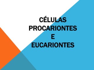 CÉLULAS
PROCARIONTES
      E
 EUCARIONTES
 