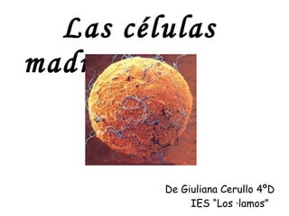 Las células madre. De Giuliana Cerullo 4ºD IES “Los álamos”   