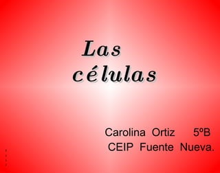 Las células Caaa Carolina  Ortiz  5ºB CEIP   Fuente  Nueva.  