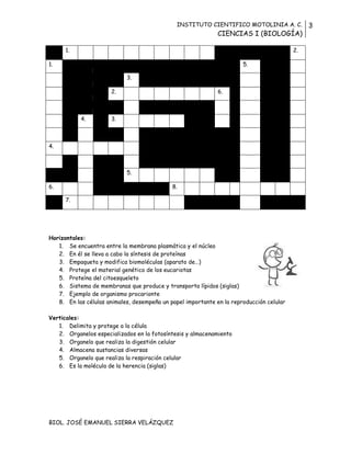 INSTITUTO CIENTIFICO MOTOLINIA A. C.
CIENCIAS I (BIOLOGÍA)
3
BIOL. JOSÉ EMANUEL SIERRA VELÁZQUEZ
1. 2.
1. 5.
3.
2. 6.
4. 3.
4.
5.
6. 8.
7.
Horizontales:
1. Se encuentra entre la membrana plasmática y el núcleo
2. En él se lleva a cabo la síntesis de proteínas
3. Empaqueta y modifica biomoléculas (aparato de…)
4. Protege el material genético de los eucariotas
5. Proteína del citoesqueleto
6. Sistema de membranas que produce y transporta lípidos (siglas)
7. Ejemplo de organismo procarionte
8. En las células animales, desempeña un papel importante en la reproducción celular
Verticales:
1. Delimita y protege a la célula
2. Organelos especializados en la fotosíntesis y almacenamiento
3. Organelo que realiza la digestión celular
4. Almacena sustancias diversas
5. Organelo que realiza la respiración celular
6. Es la molécula de la herencia (siglas)
 