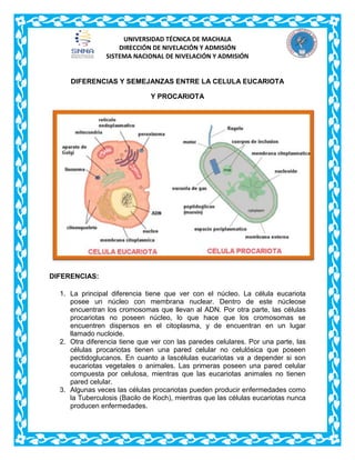 UNIVERSIDAD TÉCNICA DE MACHALA
DIRECCIÓN DE NIVELACIÓN Y ADMISIÓN
SISTEMA NACIONAL DE NIVELACIÓN Y ADMISIÓN

DIFERENCIAS Y SEMEJANZAS ENTRE LA CELULA EUCARIOTA
Y PROCARIOTA

DIFERENCIAS:
1. La principal diferencia tiene que ver con el núcleo. La célula eucariota
posee un núcleo con membrana nuclear. Dentro de este núcleose
encuentran los cromosomas que llevan al ADN. Por otra parte, las células
procariotas no poseen núcleo, lo que hace que los cromosomas se
encuentren dispersos en el citoplasma, y de encuentran en un lugar
llamado nucloide.
2. Otra diferencia tiene que ver con las paredes celulares. Por una parte, las
células procariotas tienen una pared celular no celulósica que poseen
pectidoglucanos. En cuanto a lascélulas eucariotas va a depender si son
eucariotas vegetales o animales. Las primeras poseen una pared celular
compuesta por celulosa, mientras que las eucariotas animales no tienen
pared celular.
3. Algunas veces las células procariotas pueden producir enfermedades como
la Tuberculosis (Bacilo de Koch), mientras que las células eucariotas nunca
producen enfermedades.

 